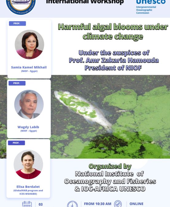 Harmful algal blooms under climate change